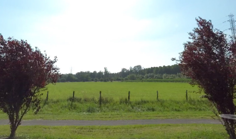 Média réf. 10381 (2/3): 