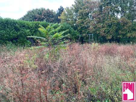 Média réf. 10387 (2/3): 