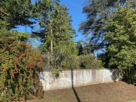 Média réf. 10406 (2/2): 