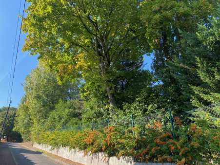 Média réf. 10407 (1/2): 