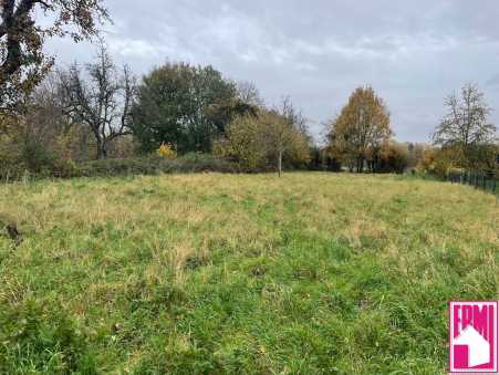 Média réf. 10416 (1/3): 