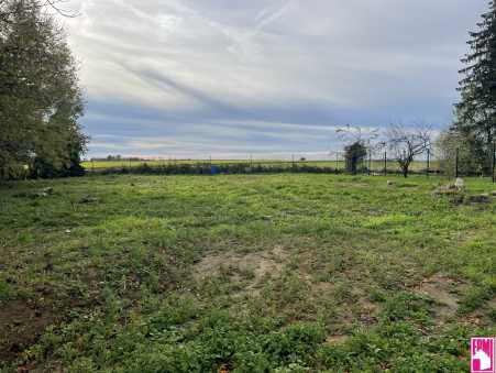 Média réf. 10427 (2/3): 