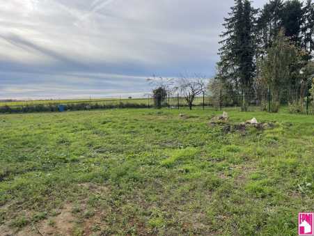 Média réf. 10428 (1/3): 