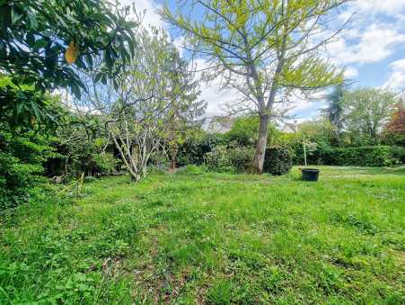 Média réf. 10440 (1/5): 