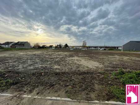 Média réf. 10446 (2/4): 