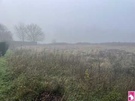 Média réf. 10457 (2/3): 