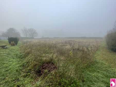 Média réf. 10458 (1/3): 