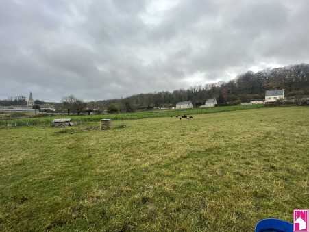 Média réf. 10465 (1/4): 