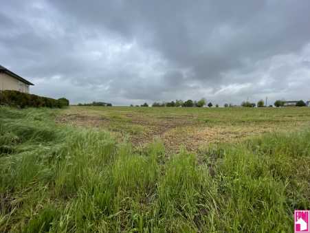 Média réf. 10474 (2/3): 