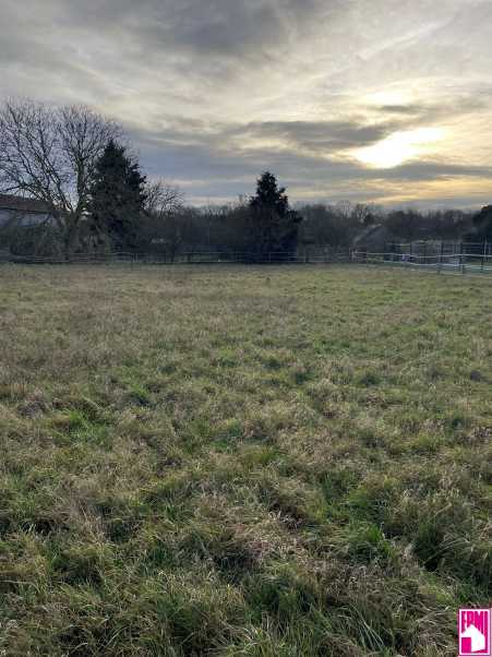 Média réf. 10482 (1/3): 