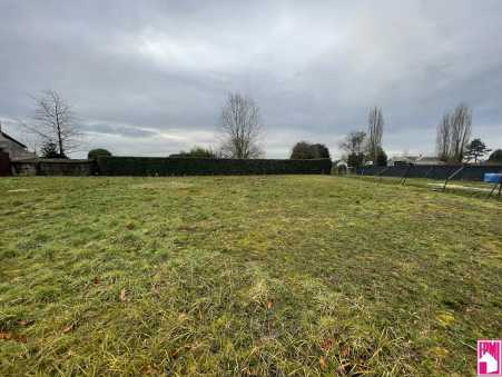 Média réf. 10486 (1/4): 