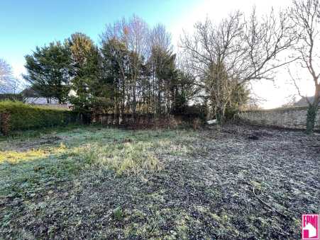 Média réf. 10488 (2/3): 