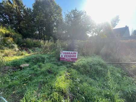 Média réf. 10489 (1/3): 