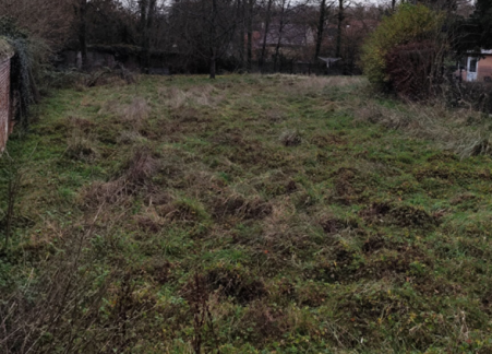 Média réf. 10496 (1/2): 