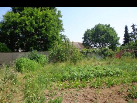 Média réf. 10498 (1/2): 