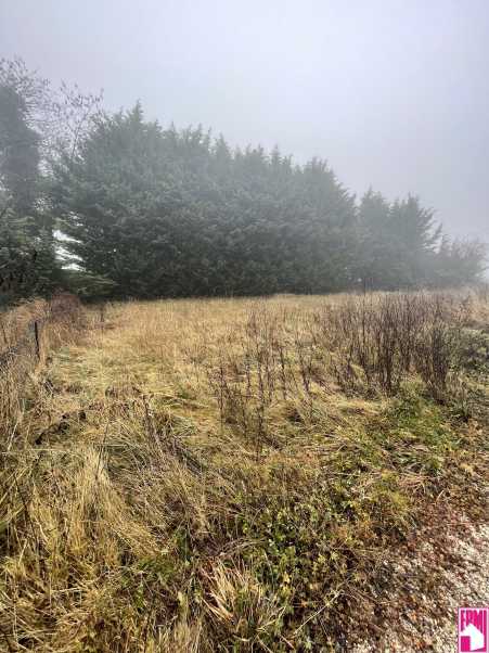 Média réf. 10512 (1/3): 