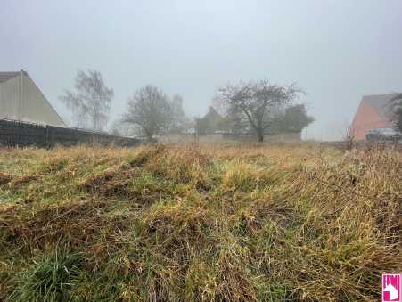 Média réf. 10514 (2/3): 