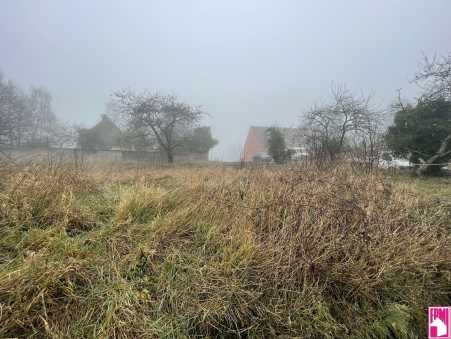 Média réf. 10515 (1/3): 