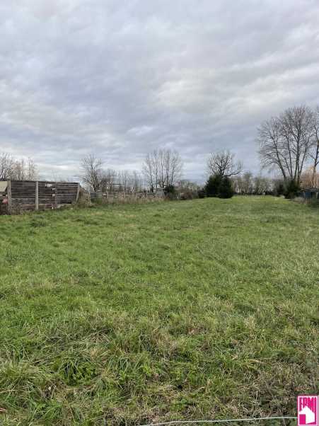 Média réf. 10517 (3/4): 