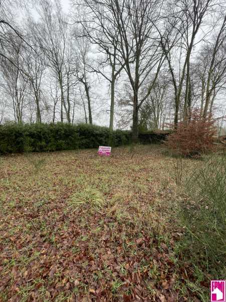 Média réf. 10529 (1/3): 