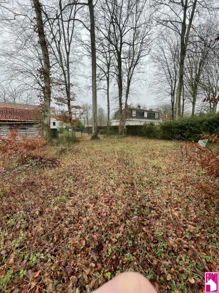 Média réf. 10528 (2/3): 