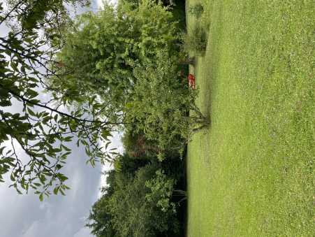 Média réf. 10536 (2/5): 