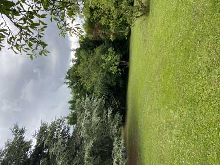 Média réf. 10537 (1/5): 