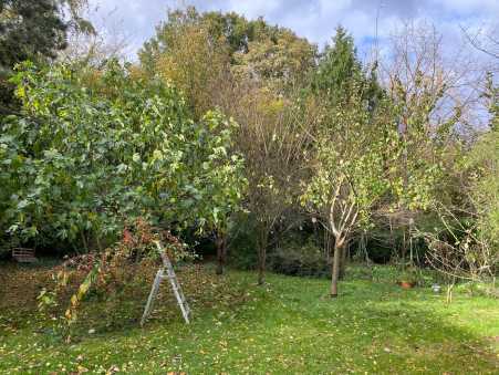 Média réf. 10541 (1/2): 