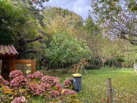 Média réf. 10540 (2/2): 